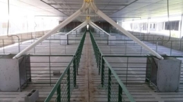 Criadero1
