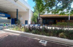 IMG-20241219-WA0053